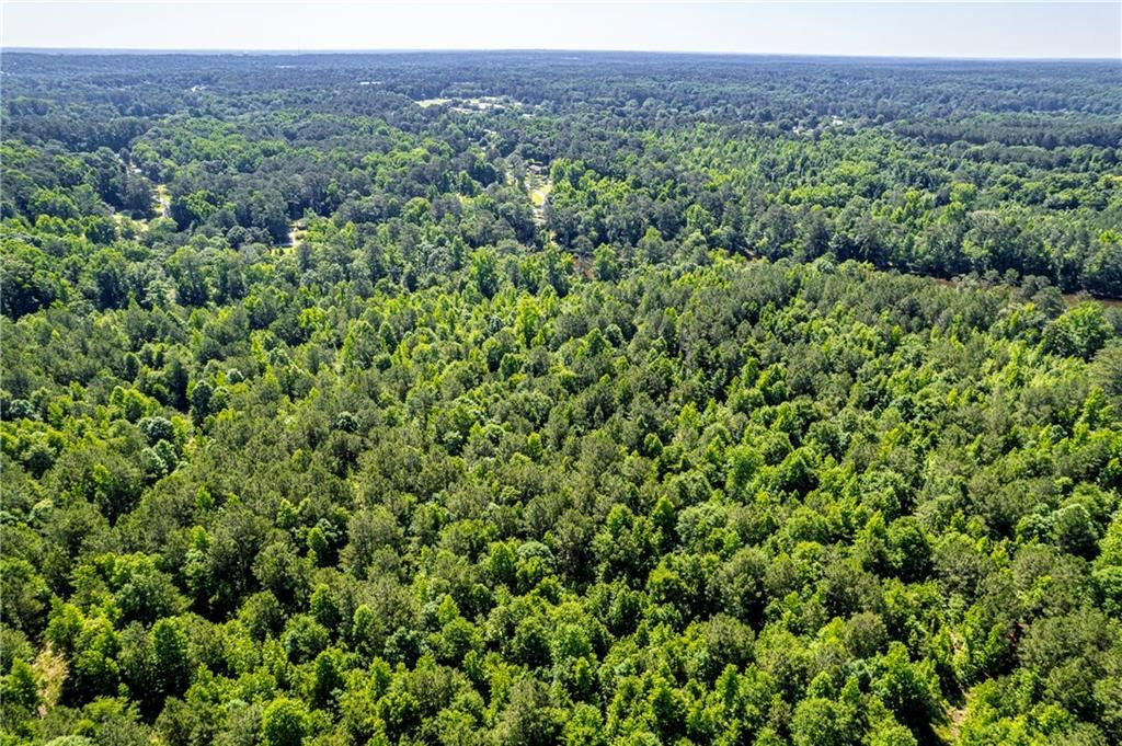 Image 13 of property listing at 460 Honey Creek Road SE, Conyers, GA 30094