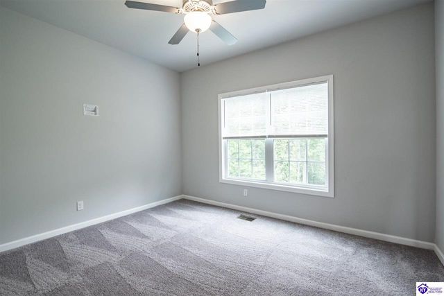 219 N Canterbury Glen Drive, Mount Washington, KY 40047