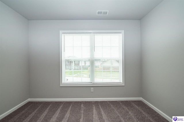 219 N Canterbury Glen Drive, Mount Washington, KY 40047