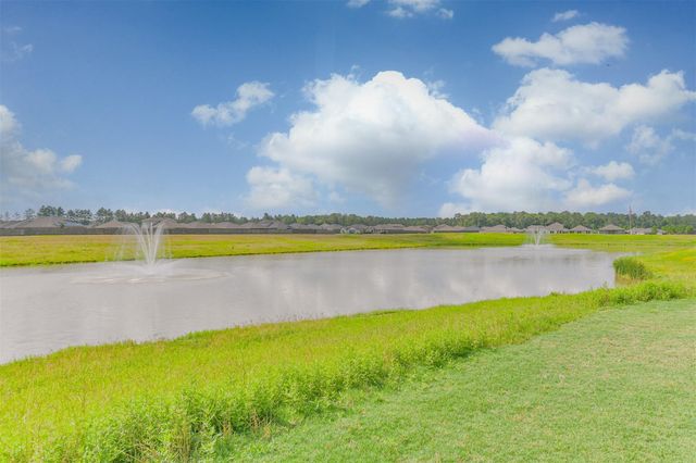 21054 Wenze Lane, New Caney, TX 77357