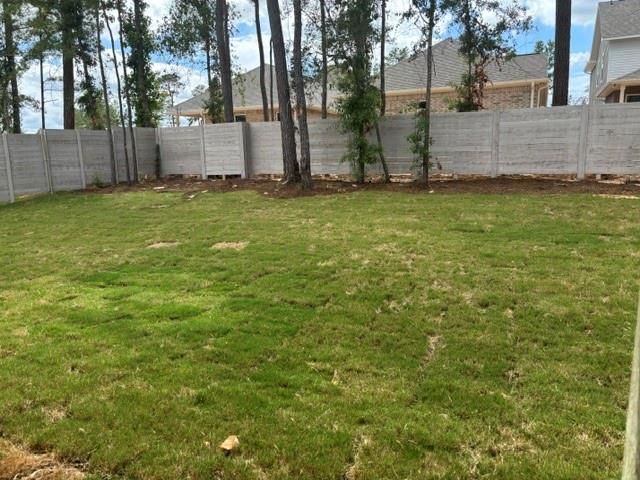 11318 Iron Horse Street, Montgomery, TX 77316