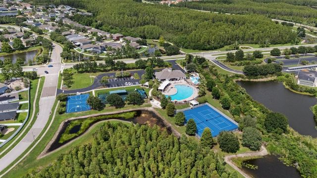 2841 TRINITY COTTAGE DRIVE, Land O Lakes, FL 34638