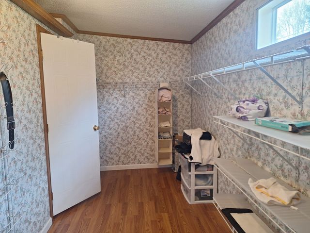 20 Gaston Dr, Leoma, TN 38468