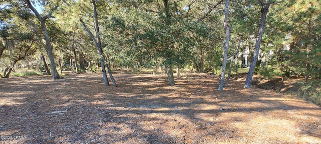 2 Black Skimmer Court, Beaufort, SC 29907