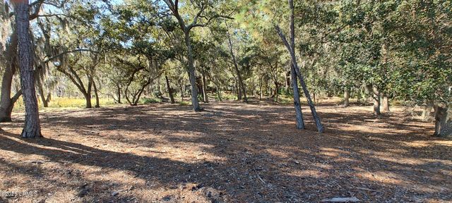 2 Black Skimmer Court, Beaufort, SC 29907