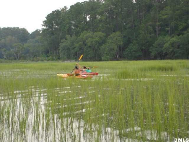 2 Black Skimmer Court, Beaufort, SC 29907