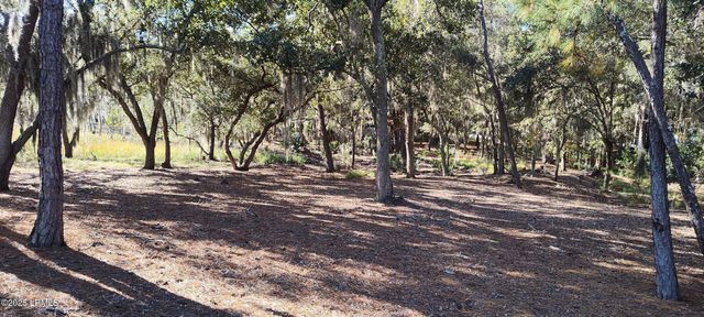 2 Black Skimmer Court, Beaufort, SC 29907