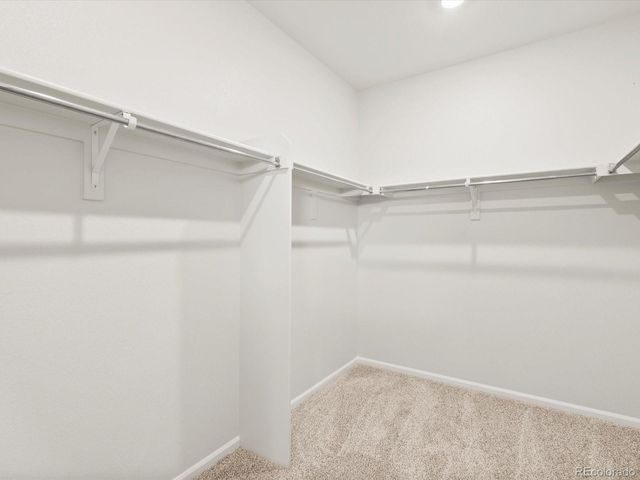 1597 Colorado River Drive, Windsor, CO 80550