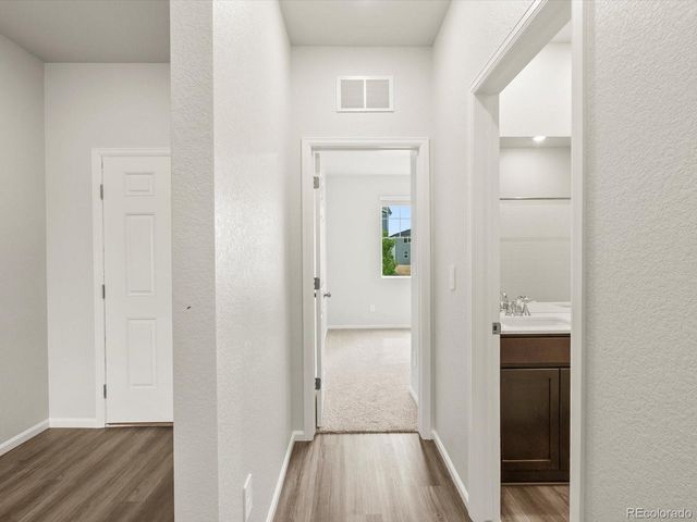 1597 Colorado River Drive, Windsor, CO 80550