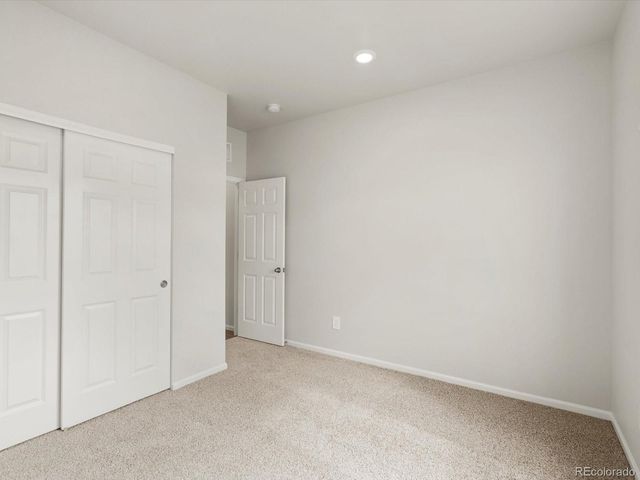 1597 Colorado River Drive, Windsor, CO 80550