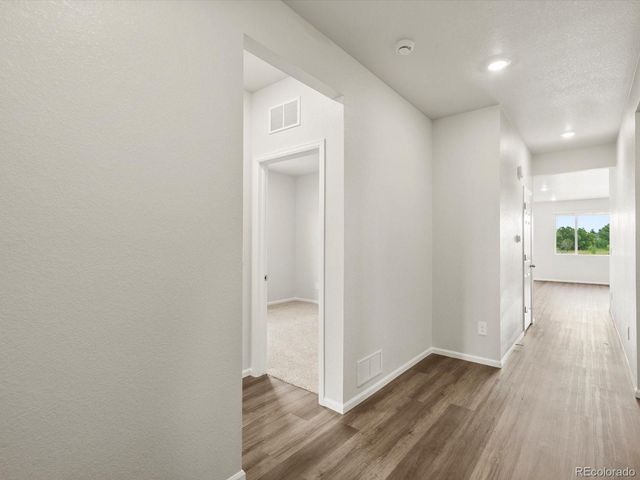 1597 Colorado River Drive, Windsor, CO 80550