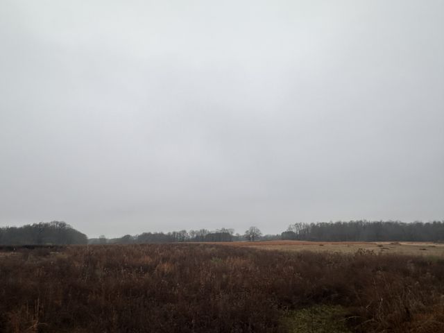 0 Rushing road, Ethridge, TN 38456