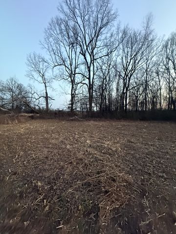 0 Rushing road, Ethridge, TN 38456