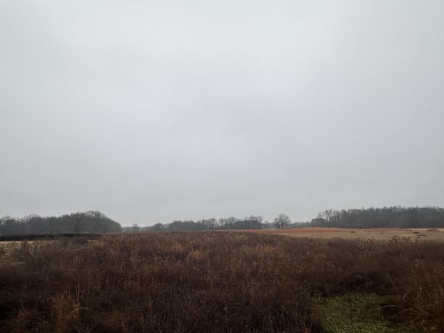 0 Rushing road, Ethridge, TN 38456