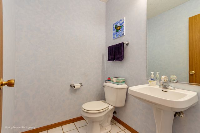 4208 Whitetail Court, Joliet, IL 60431