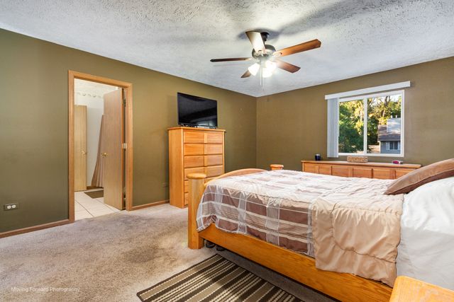 4208 Whitetail Court, Joliet, IL 60431