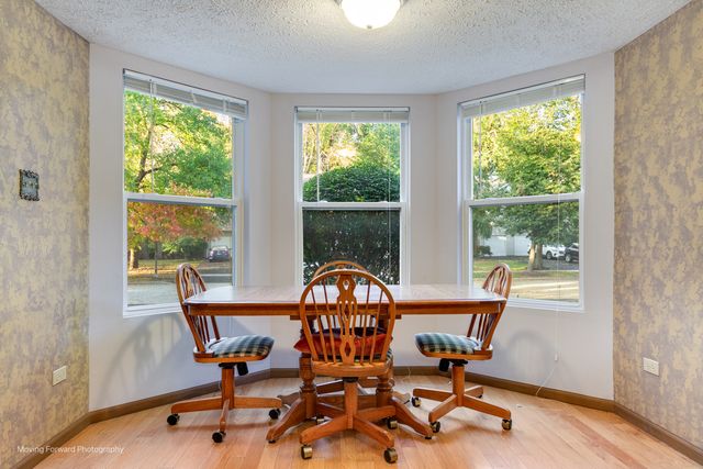 4208 Whitetail Court, Joliet, IL 60431