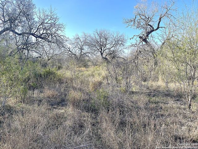 9654 FM 2617, Pettus, TX 78146