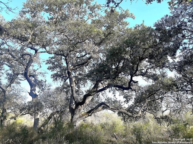 9654 FM 2617, Pettus, TX 78146