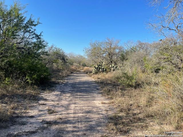 9654 FM 2617, Pettus, TX 78146