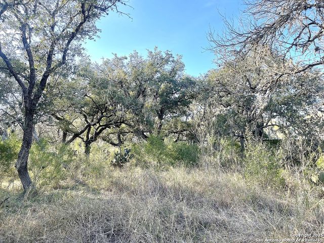 9654 FM 2617, Pettus, TX 78146