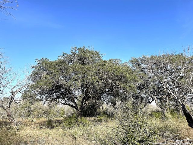 9654 FM 2617, Pettus, TX 78146