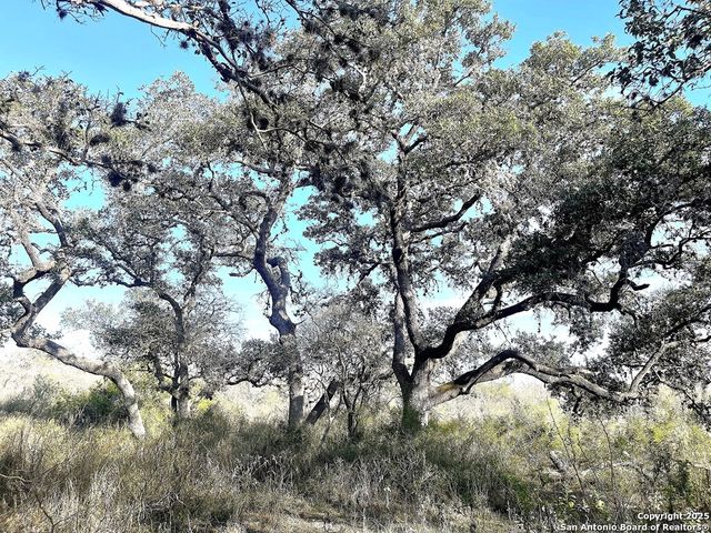 9654 FM 2617, Pettus, TX 78146