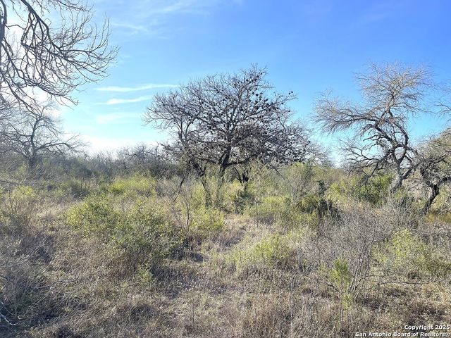 9654 FM 2617, Pettus, TX 78146