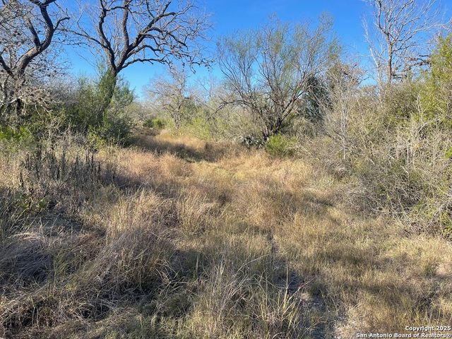 9654 FM 2617, Pettus, TX 78146