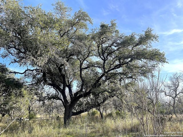 9654 FM 2617, Pettus, TX 78146