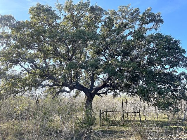 9654 FM 2617, Pettus, TX 78146