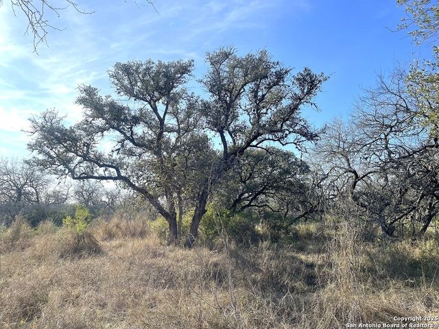 9654 FM 2617, Pettus, TX 78146