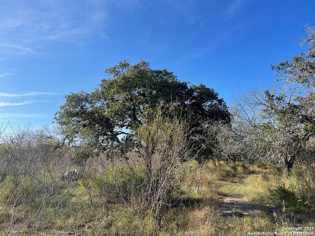 9654 FM 2617, Pettus, TX 78146