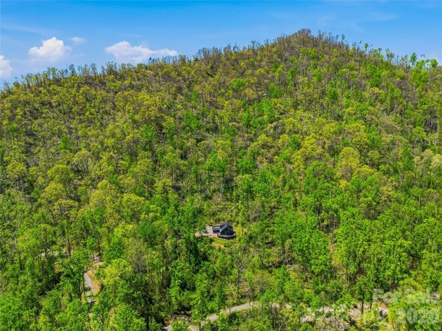 110 North Knob Lane, Weaverville, NC 28787