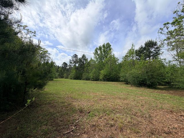 121 J M Burge Rd., Hattiesburg, MS 39402