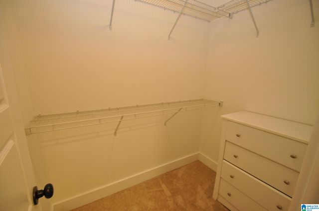 169 THE HEIGHTS DRIVE, Calera, AL 35040