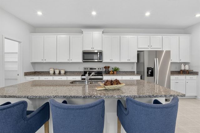 125 GREENHOUSE GROVE STREET, Groveland, FL 34736