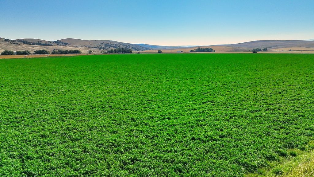 14917 Buffalo Jump Road, Three Forks, MT 59752 photo 44