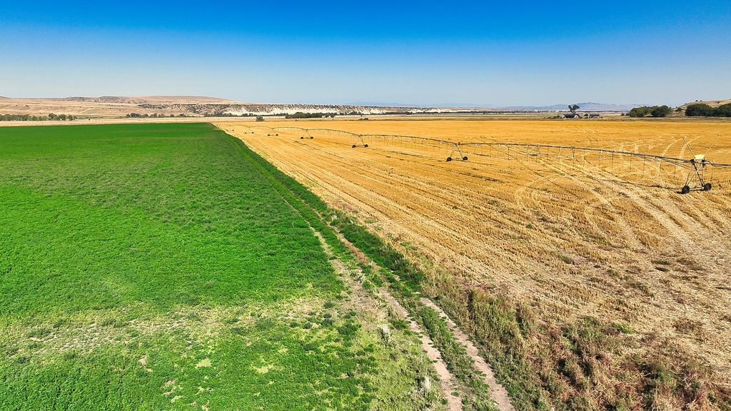 14917 Buffalo Jump Road, Three Forks, MT 59752 photo 49