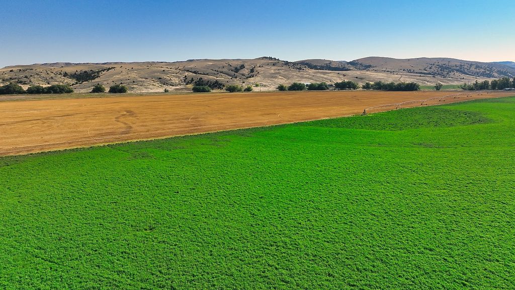 14917 Buffalo Jump Road, Three Forks, MT 59752 photo 52