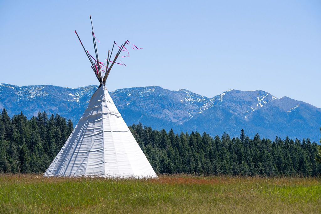 233 Coverdell Road, Bigfork, MT 59911 photo 8