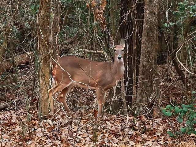 523 County Line Road, Manson, NC 27553