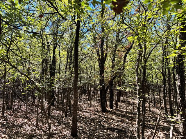 3711 Bob White Court, Granbury, TX 76049