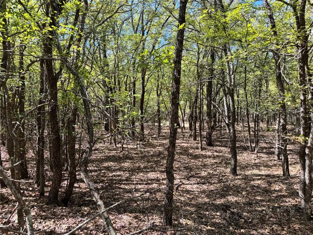 3711 Bob White Court, Granbury, TX 76049