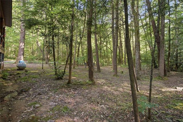 491 Old Parker Terrace, Ellijay, GA 30536