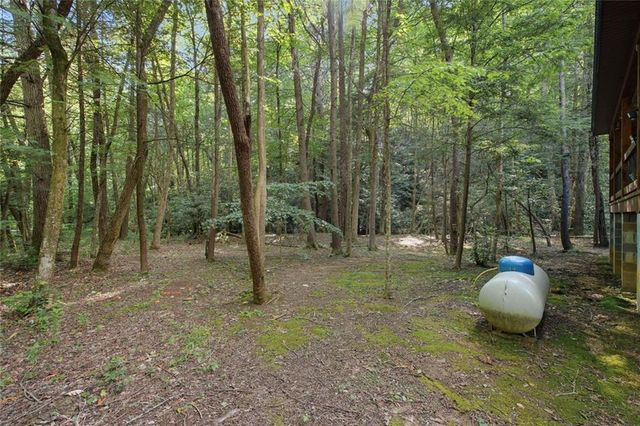 491 Old Parker Terrace, Ellijay, GA 30536