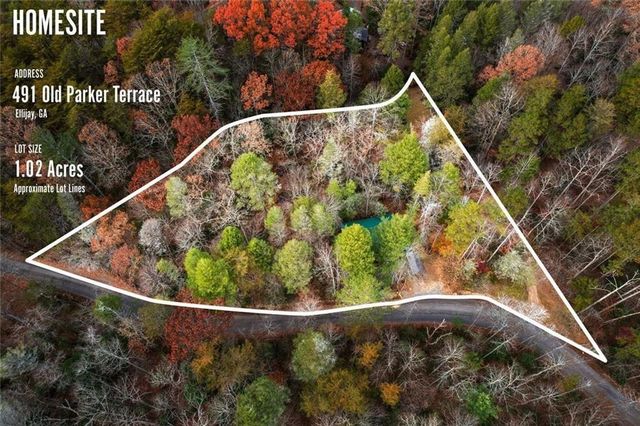 491 Old Parker Terrace, Ellijay, GA 30536