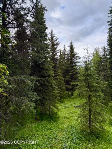 15700 Wild Salmon Way, Ninilchik, AK 99639