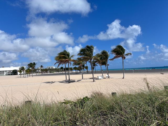 2000 S Ocean Drive 810, Fort Lauderdale, FL 33316