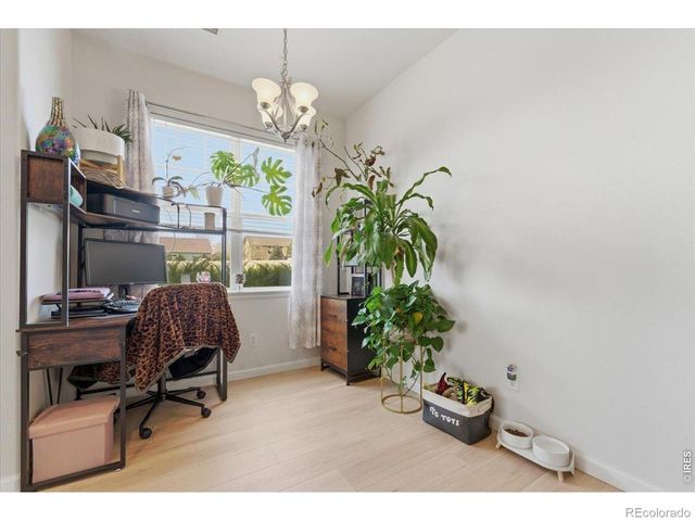 3329 Apple Blossom Lane 1, Greeley, CO 80634